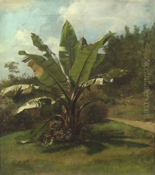 Sommerlicher Garten In Wannsee Mit Bananenstaude (im Garten Des Malers Oskar Begas Am Kleinen Wannsee?) Oil Painting by Oskar Begas