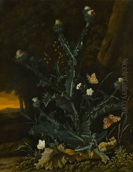 Forest Floor Still Life, With A Thistle Oil Painting by Abraham Jansz. Begeyn