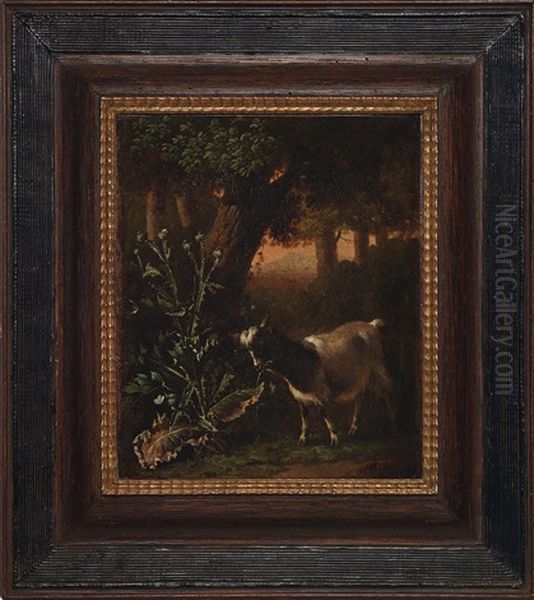 Waldlichtung Mit Distelpflanze Und Ziege Oil Painting by Abraham Jansz. Begeyn