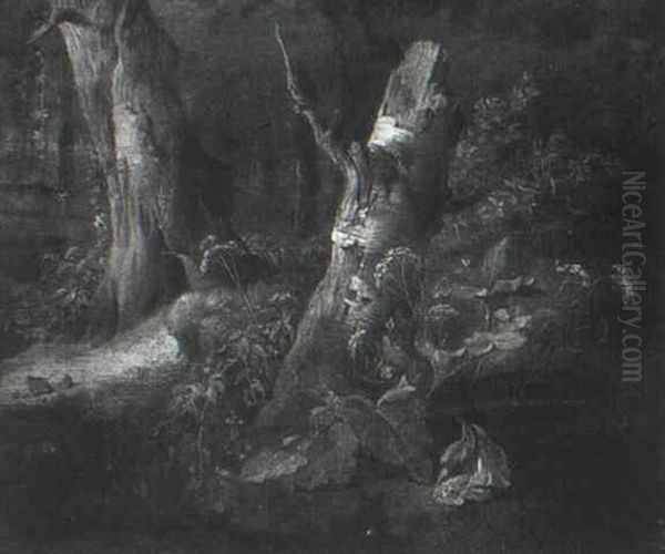 The Stump Of A Birch Tree Surrounded By Flowers And         Plants by Abraham Jansz. Begeyn