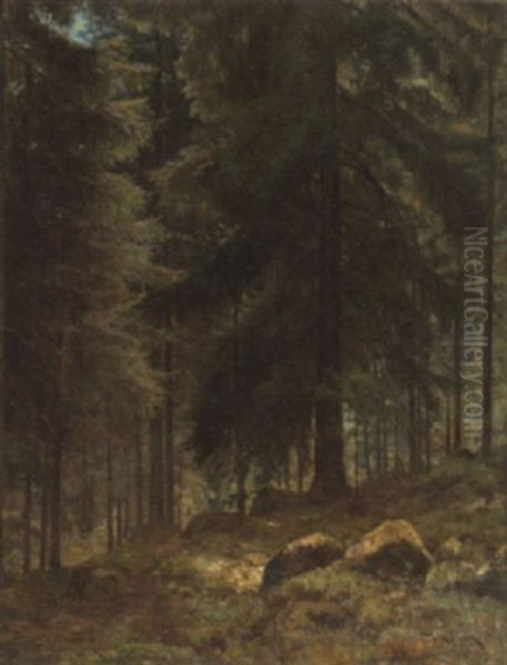 Sonnendurchfluteter Nadelwald Oil Painting by Vilhelm Emanuel Behm