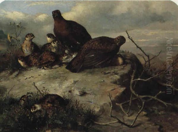 Red Grouse Oil Painting by John Clement Bell