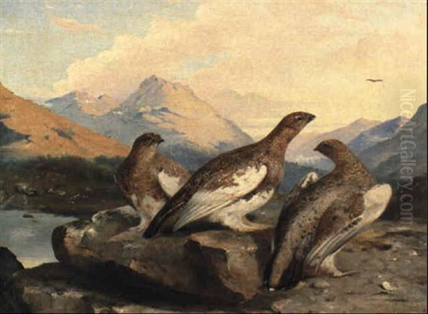 Grouse Oil Painting by John Clement Bell