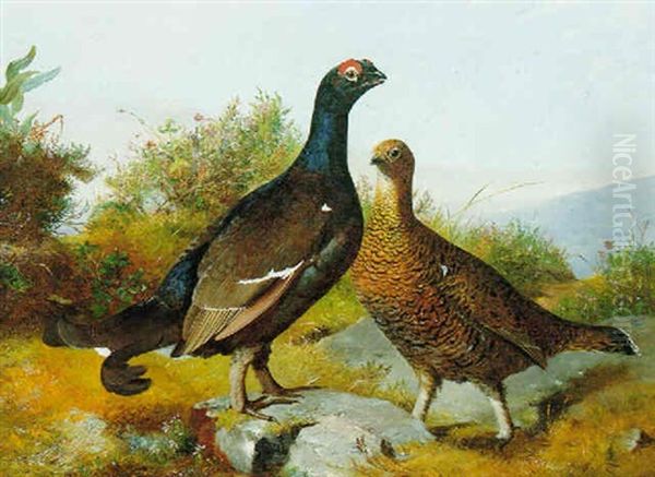 Black Game In The Highlands Oil Painting by John Clement Bell