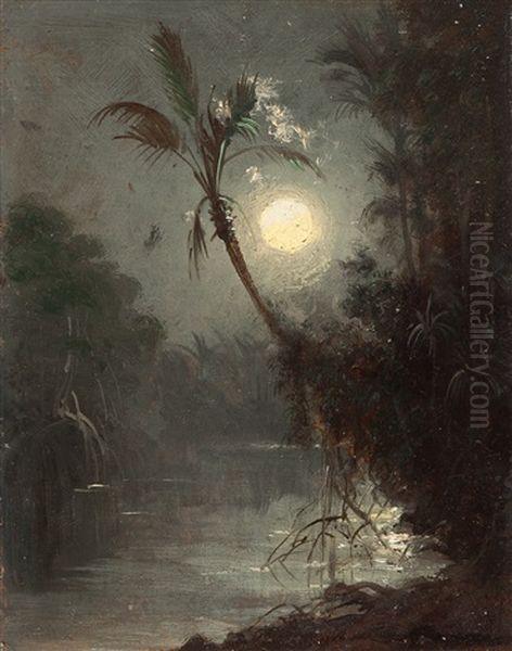 Tropischer Fluss Im Mondschein (venezuela) Oil Painting by Ferdinand Bellermann