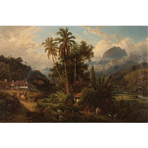 Hacienda De San Esteban De Puerto Cabello, Venezuela Oil Painting by Ferdinand Bellermann