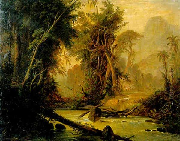 A Tropical Forest In Venezuela Oil Painting by Ferdinand Bellermann