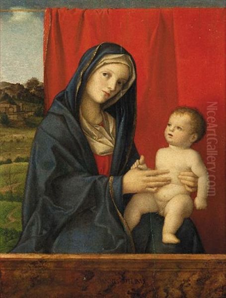 Madonna Con Il Bambino (madonna Cook) Oil Painting by Giovanni Bellini