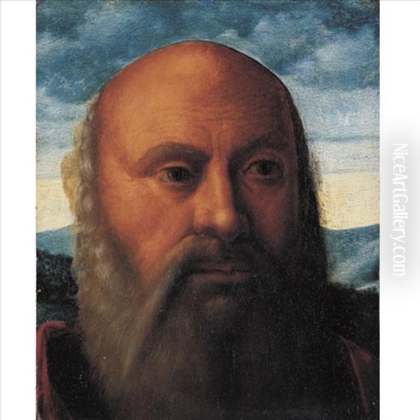 Head Of A Man (fragment) Oil Painting by Giovanni Bellini