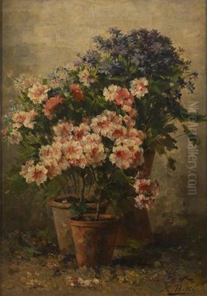 Pelargoniums Et Asters En Fleurs Oil Painting by Hubert Bellis