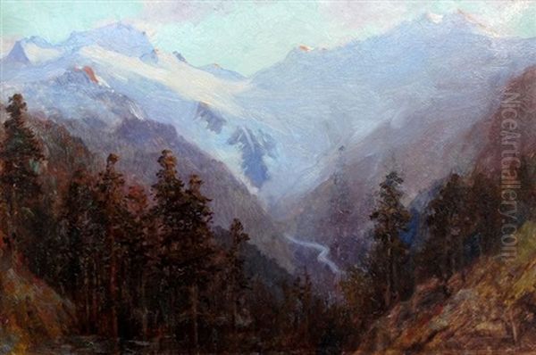 A Valley In The Selkirks, Bc Oil Painting by Frederic Marlett Bell-Smith