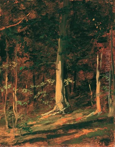 Sunlit Forest Oil Painting by Gyula von (Julius de) Benczur