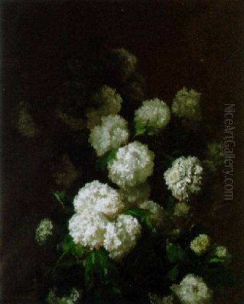 Stilleben Mit Schneeball Oil Painting by Jean Benner