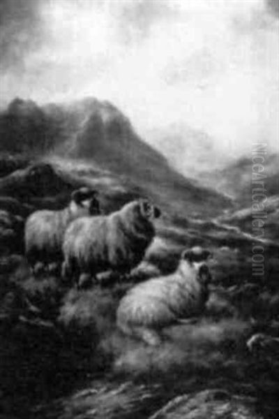 Highland Sheep Oil Painting by Frank Moss Bennett