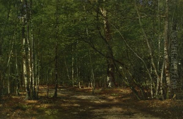 Sonnenbeschienener Birkenwald Bei Misdroy Oil Painting by Karl Bennewitz von Loefen the Elder