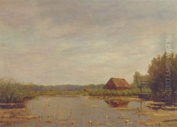 Waterlilies In A Polder Pond by Johan Fritz Bennik