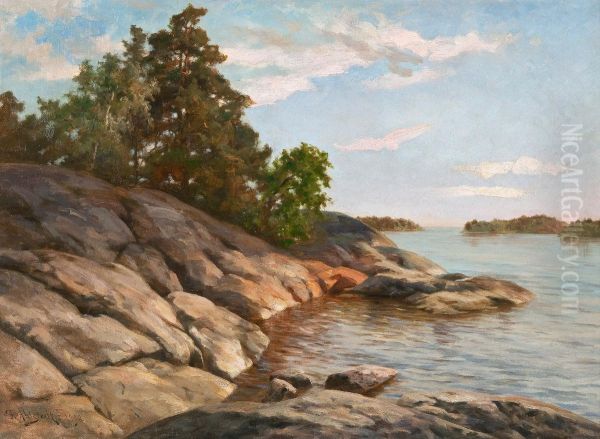 Shore Cliffs Oil Painting by Fredrik Ahlstedt