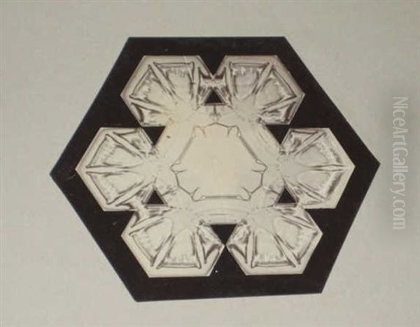 Snow Crystals (+ 2 Others; 3 Works) by Wilson A. Bentley