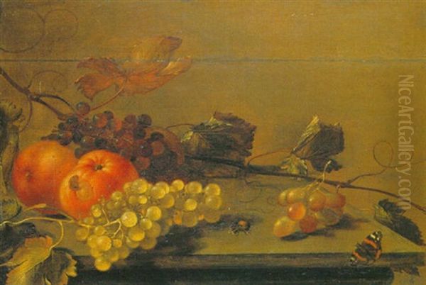 A Still Life With Apples And Grapes And A Red Admiral Butterfly, All On A Wooden Ledge Oil Painting by Gillis Gillisz. de Berch