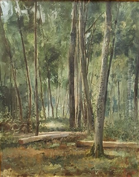 Forest Landscape Oil Painting by Hanna Berg