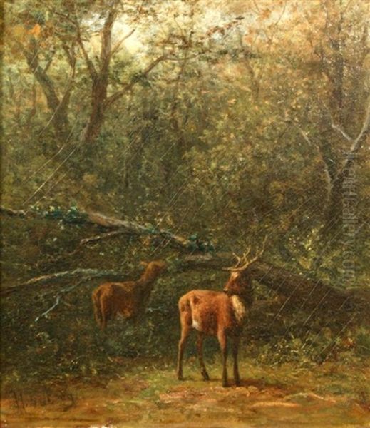 Standing Deer Oil Painting by Hendrik Andries Van Den Berg