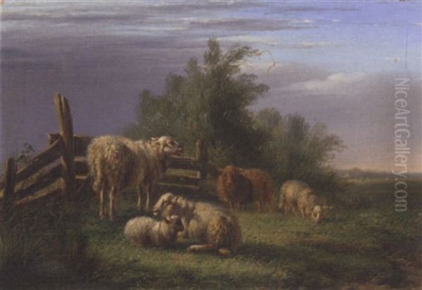 Sheep In Pasture Oil Painting by Bernardus Gerardus Ten Berge