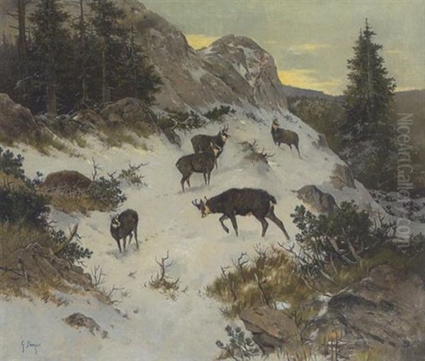 Gemsen Im Winterlichen Hochgebirge Oil Painting by G. Berger