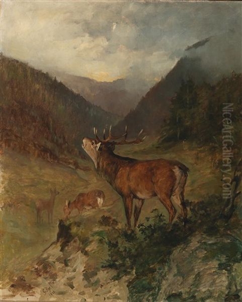 Red Deer In The Mountains Oil Painting by Georg Berger