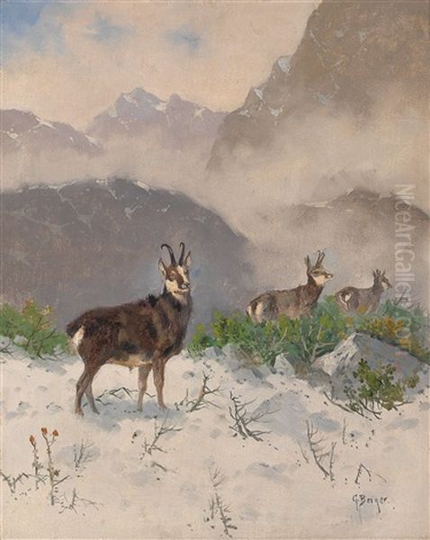 Gemsen In Alpenlandschaft Oil Painting by Georg Berger