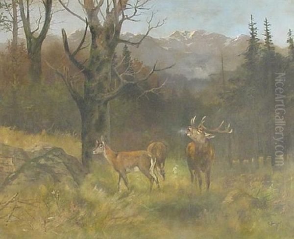 Rohrender Hirsch Mit Mutterwild Auf Einer Waldlichtung Oil Painting by Georg Berger