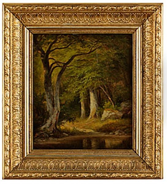 Tjarn I Bokskog Oil Painting by Edward (Johan-Edvard) Bergh