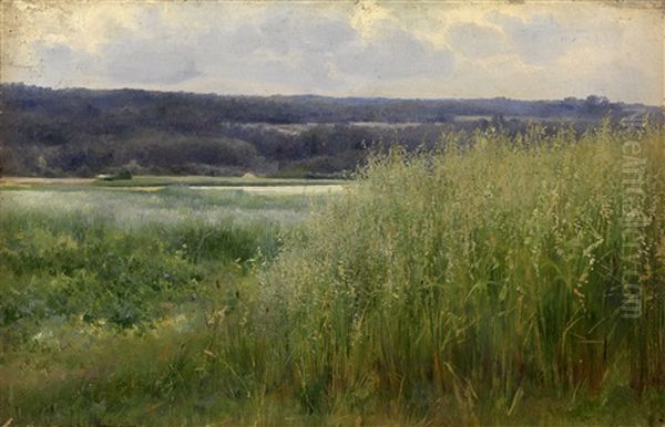 Meadow Oil Painting by Mikhail Andreevitch Berkos