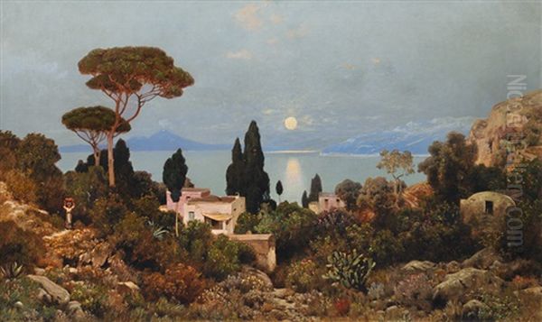 View From Capri On Mount Vesuvius Oil Painting by Edmund Berninger