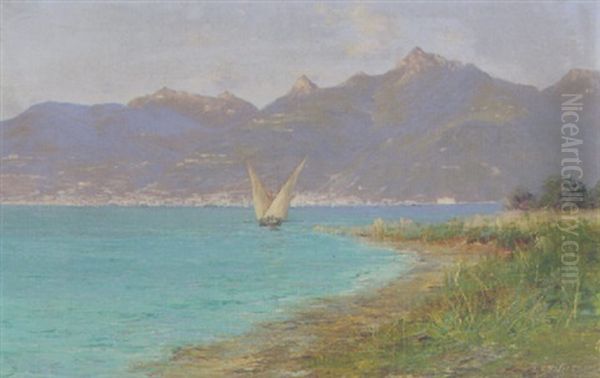 Blick Von Le Bouveret Auf Montreux Oil Painting by Charles Alexandre Bertier