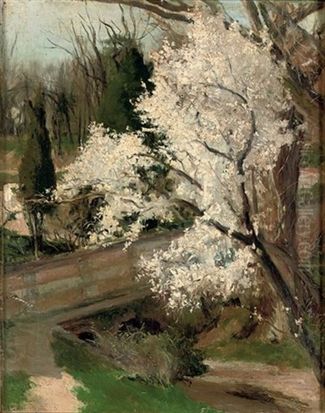 Spring Blossom Oil Painting by Aureliano De Beruete