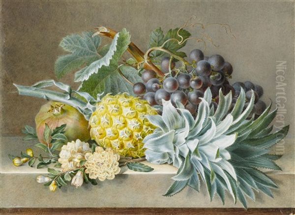 A Still Life With Pineapple, Grapes And Pomegranate Oil Painting by Pancrace Bessa