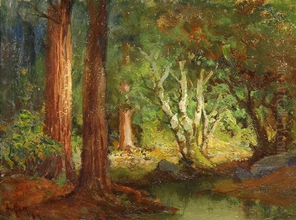 Dappled Redwoods Oil Painting by Arthur William Best