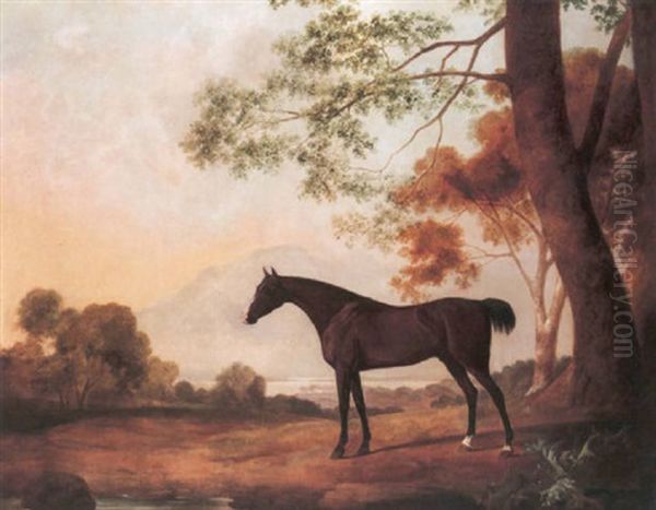 Lord Clermont's Bay Racehorse 