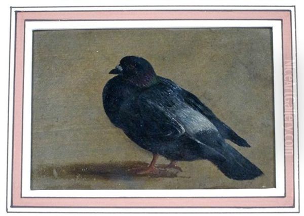 Deux Pigeons (study) Oil Painting by Henri De Beul