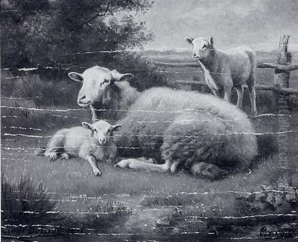 Schaf Und Zwei Lammer Auf Der Weide Oil Painting by Henri De Beul