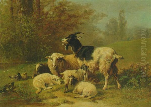 Sheeps And Goats Resting On A Riverbank Oil Painting by Henri De Beul