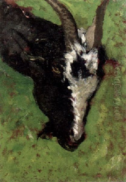 Goat Oil Painting by Mose di Giosue Bianchi