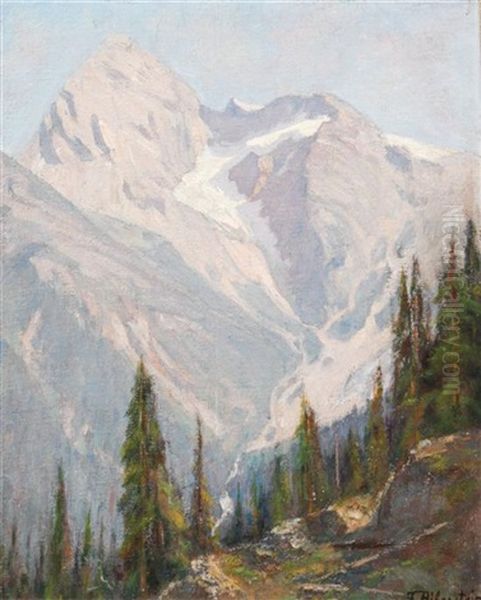 Mountain Range Oil Painting by Franz Biberstein