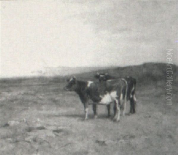 Cattle In A Field Oil Painting by Albion Harris Bicknell