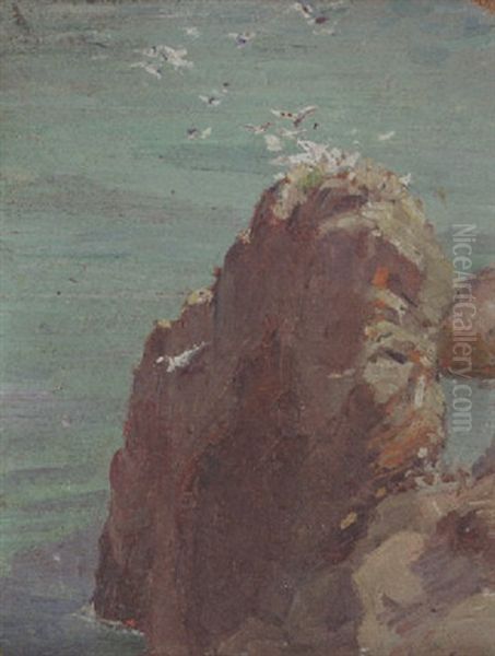 Gull Rock Oil Painting by Frank Alfred Bicknell