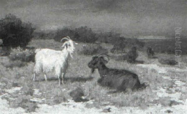 Cabras Oil Painting by Walter Biddlecombe