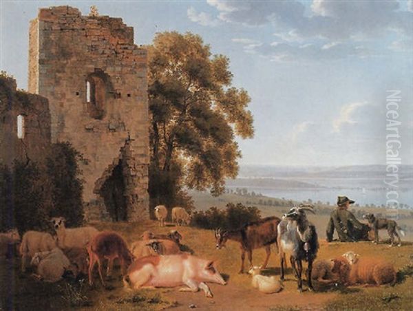 Bodenseelandschaft Mit Blick Auf Die Insel Mainau Oil Painting by Johann Jakob Biedermann