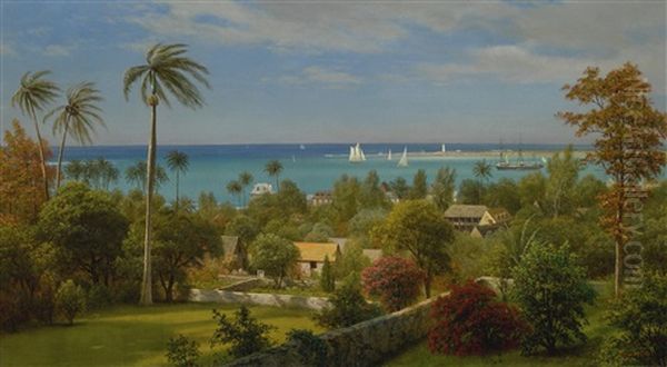 View Of Nassau, The Bahamas Oil Painting by Albert Bierstadt