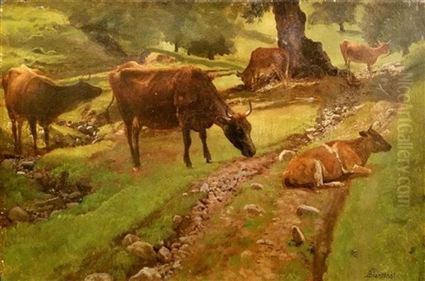 Cows In A Landscape Oil Painting by Albert Bierstadt