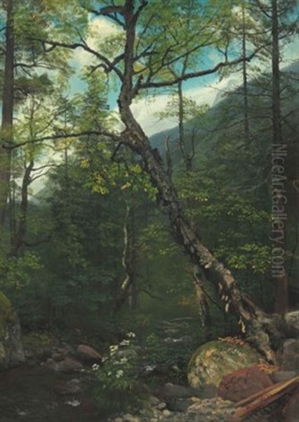 Woodland Interior, Catskills Oil Painting by Albert Bierstadt